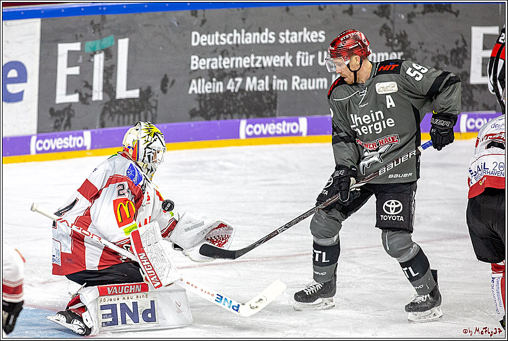 DEL; Koelner Haie - Fischtowns Pinguins Bremerhaven, 24.01.2019